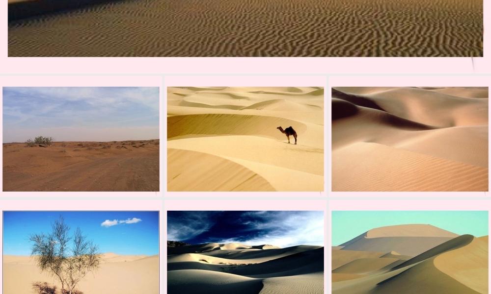 四年级语文下册 第六单元 第19课《沙漠中的绿洲》课件2 苏教版-苏教版小学四年级下册语文课件