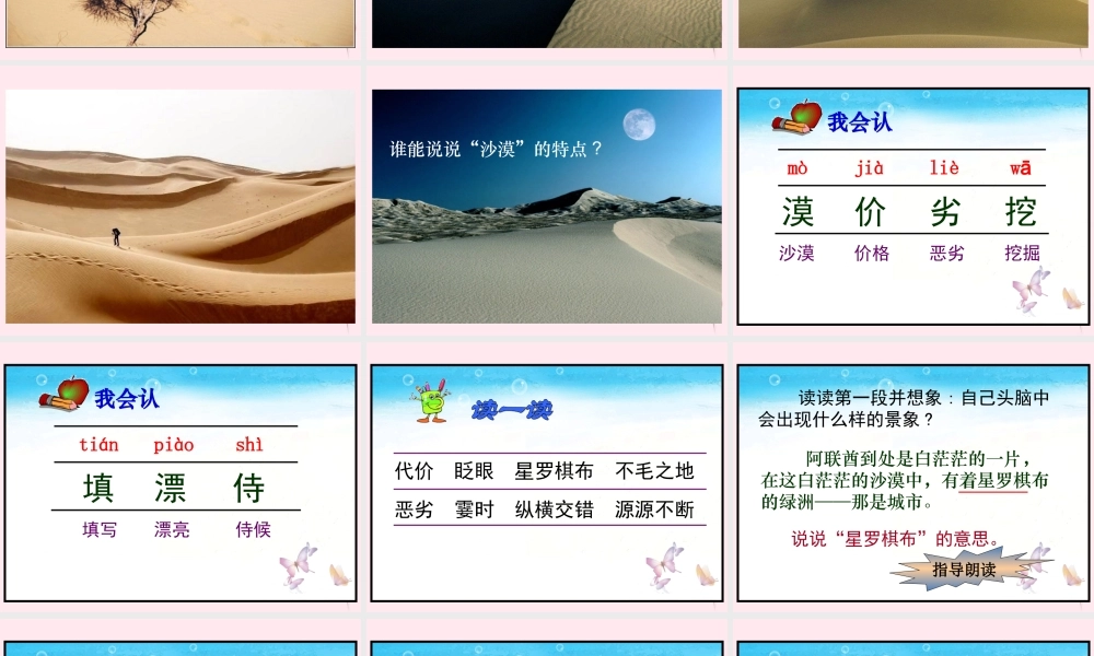 四年级语文下册 第六单元 第19课《沙漠中的绿洲》课件2 苏教版-苏教版小学四年级下册语文课件