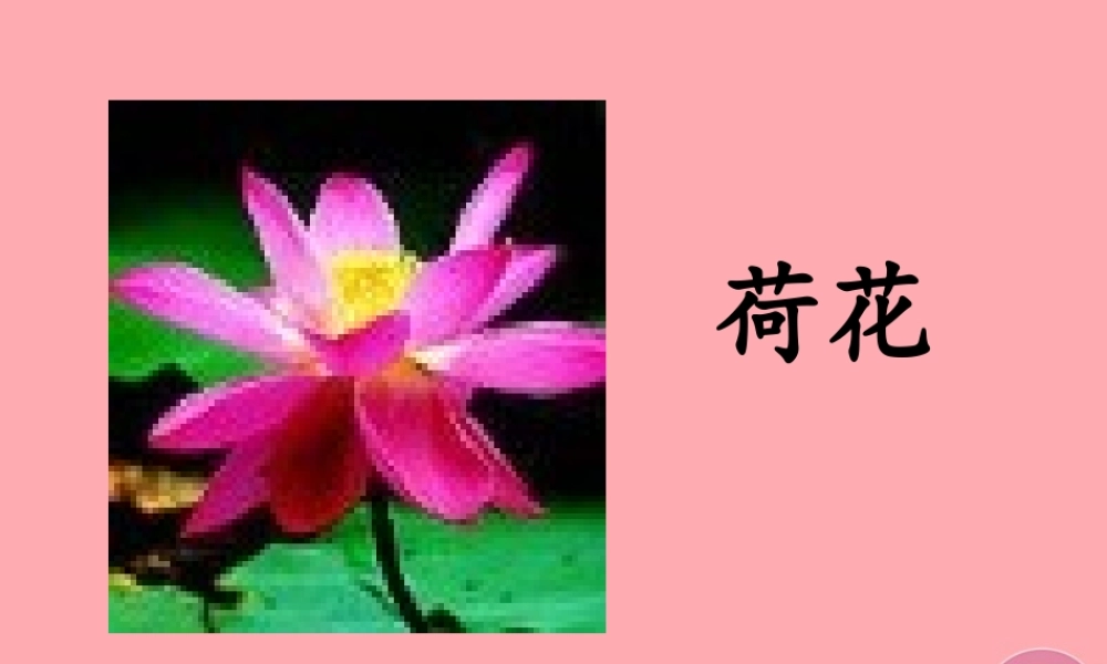 四年级语文上册 第三单元 自己的花是让别人看的课件4 鄂教版-鄂教版小学四年级上册语文课件