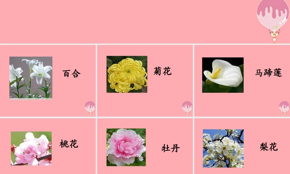 四年级语文上册 第三单元 自己的花是让别人看的课件4 鄂教版-鄂教版小学四年级上册语文课件