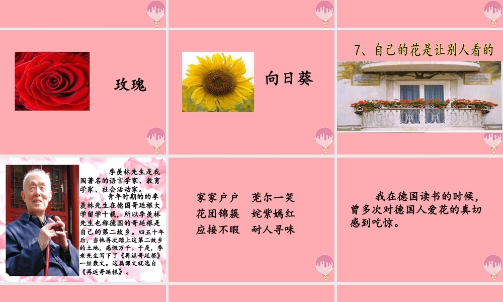 四年级语文上册 第三单元 自己的花是让别人看的课件4 鄂教版-鄂教版小学四年级上册语文课件