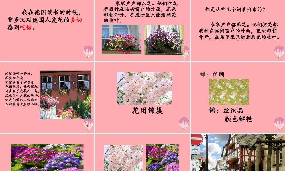 四年级语文上册 第三单元 自己的花是让别人看的课件4 鄂教版-鄂教版小学四年级上册语文课件