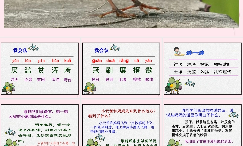 四年级语文下册 第六单元 第20课《云雀的心愿》课件 苏教版-苏教版小学四年级下册语文课件