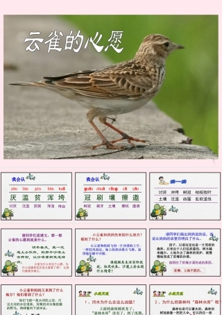 四年级语文下册 第六单元 第20课《云雀的心愿》课件 苏教版-苏教版小学四年级下册语文课件