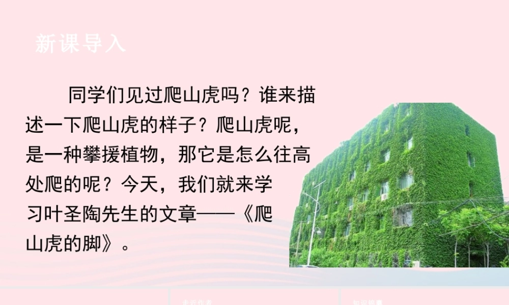 文上册 第三单元 10 爬山虎的脚课件