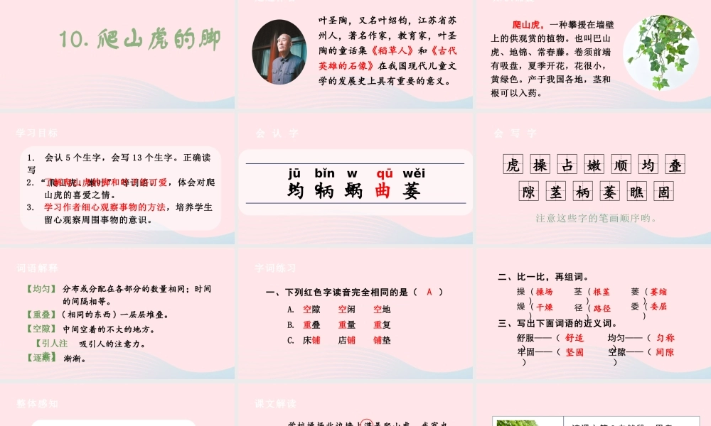 文上册 第三单元 10 爬山虎的脚课件