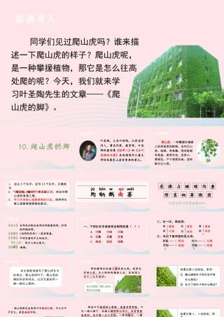 文上册 第三单元 10 爬山虎的脚课件