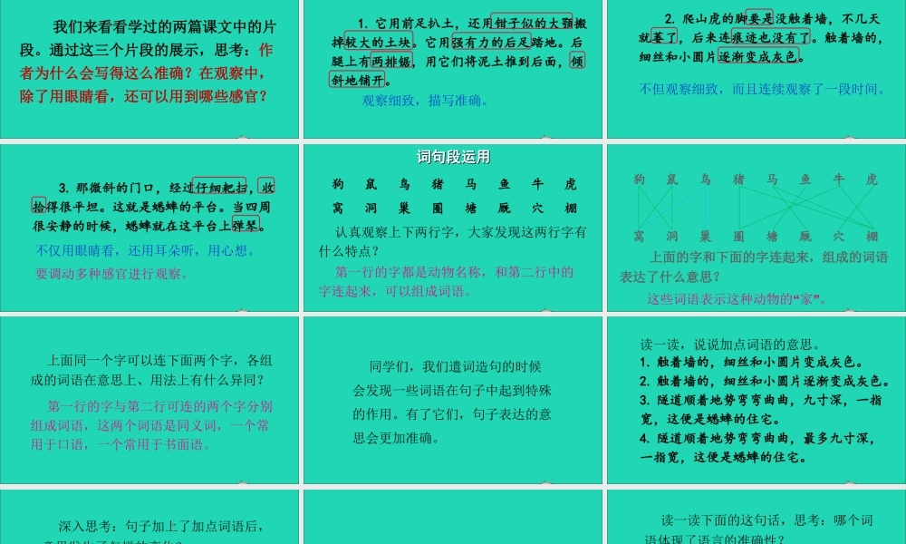 四年级语文上册 第三单元《语文园地三》课件 新人教版-新人教版小学四年级上册语文课件