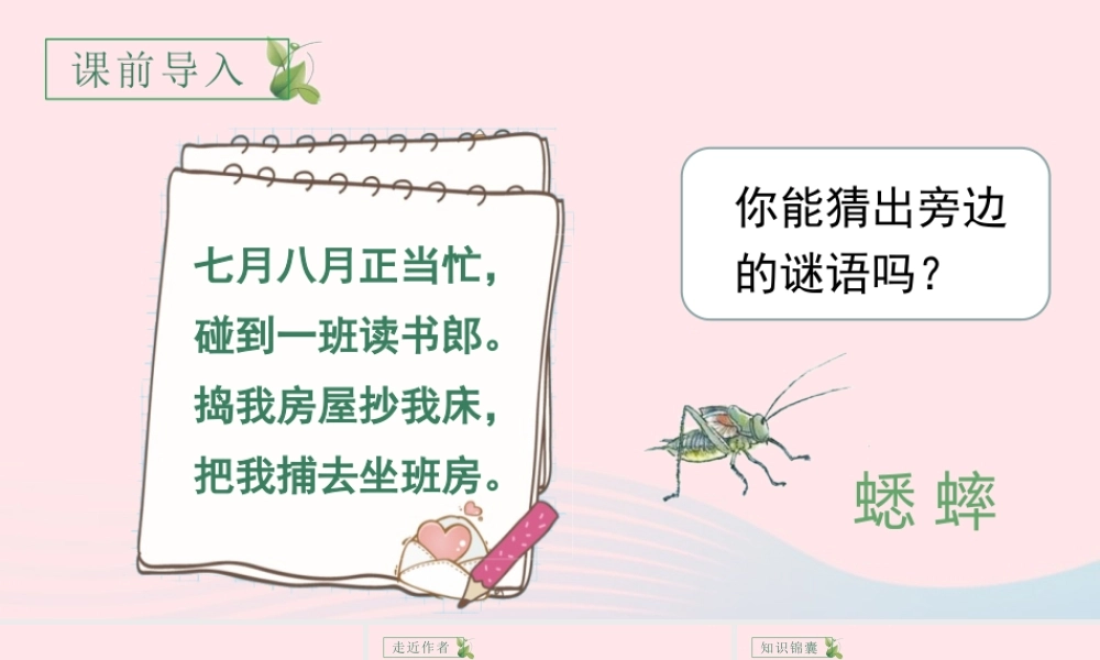 文上册 第三单元 11 蟋蟀的住宅课件