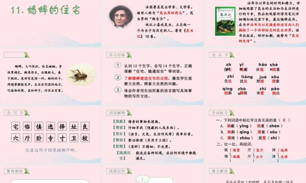 文上册 第三单元 11 蟋蟀的住宅课件