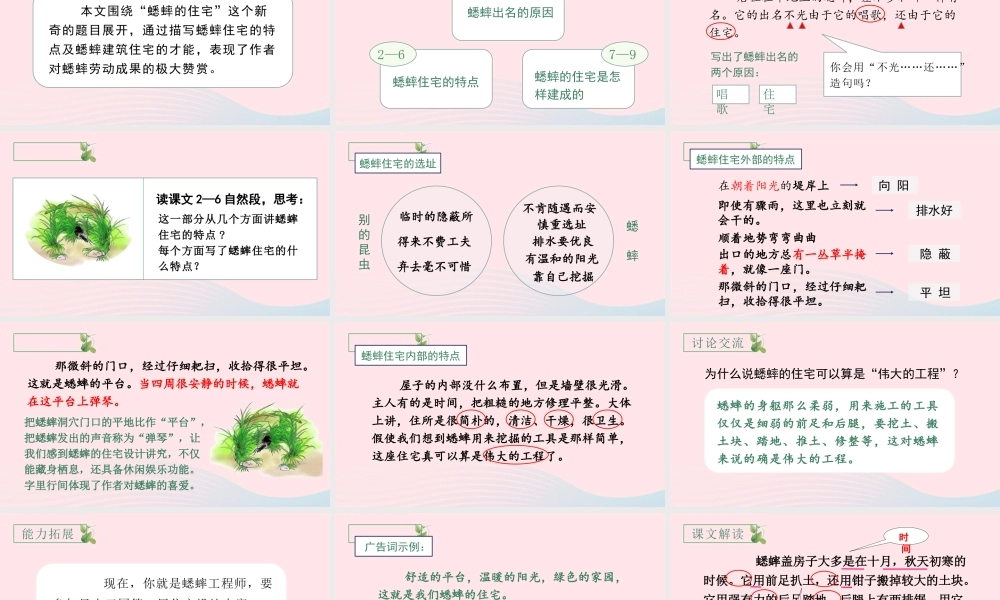 文上册 第三单元 11 蟋蟀的住宅课件