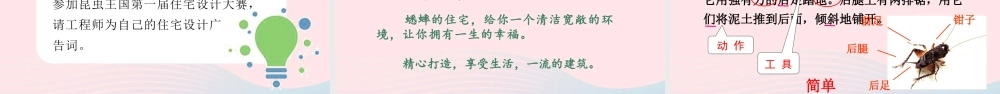 文上册 第三单元 11 蟋蟀的住宅课件