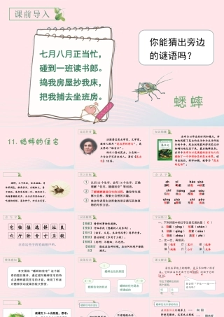 文上册 第三单元 11 蟋蟀的住宅课件