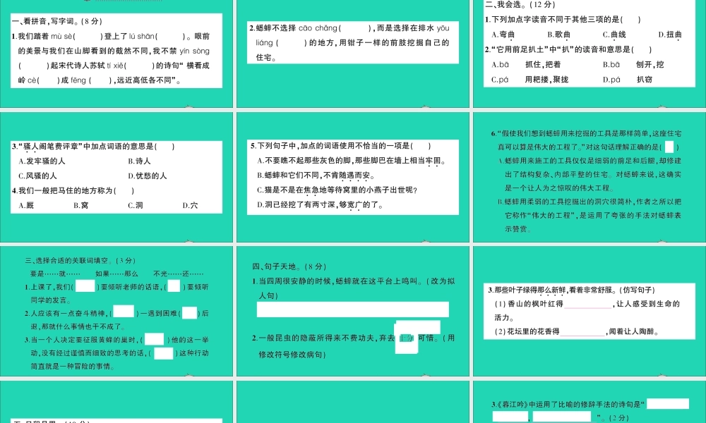 四年级语文上册 第三单元测试课件 新人教版-新人教版小学四年级上册语文课件