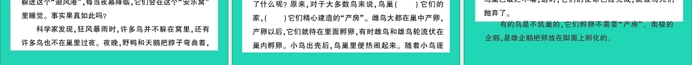 四年级语文上册 第三单元测试课件 新人教版-新人教版小学四年级上册语文课件