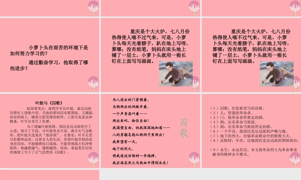 四年级语文上册 第五单元 小萝卜头的故事课件1 鄂教版-鄂教版小学四年级上册语文课件