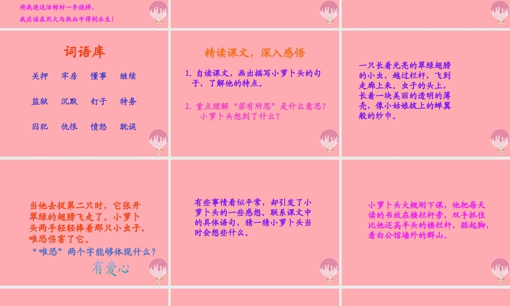 四年级语文上册 第五单元 小萝卜头的故事课件2 鄂教版-鄂教版小学四年级上册语文课件