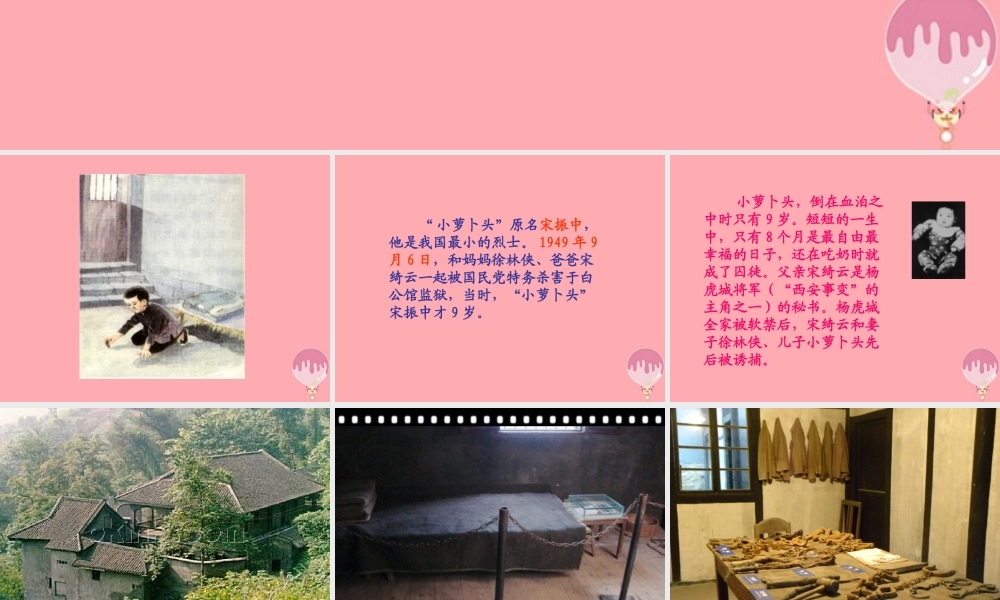 四年级语文上册 第五单元 小萝卜头的故事课件3 鄂教版-鄂教版小学四年级上册语文课件