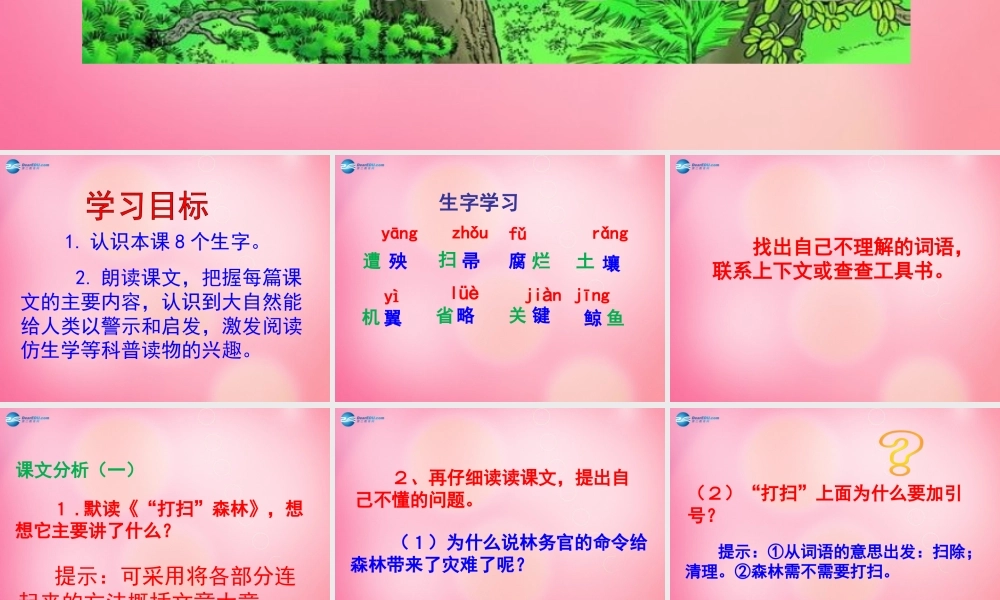 四年级语文下册 12 大自然的启示教学课件 新人教版-新人教版小学四年级下册语文课件