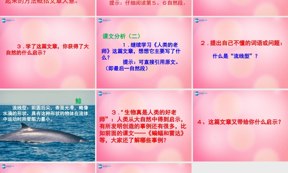 四年级语文下册 12 大自然的启示教学课件 新人教版-新人教版小学四年级下册语文课件