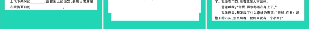 四年级语文上册 第五单元测试课件 新人教版-新人教版小学四年级上册语文课件