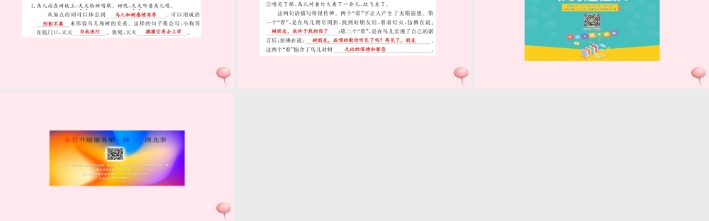 四年级语文上册 第三组 11 去年的树（第1课时）习题课件 新人教版-新人教版小学四年级上册语文课件