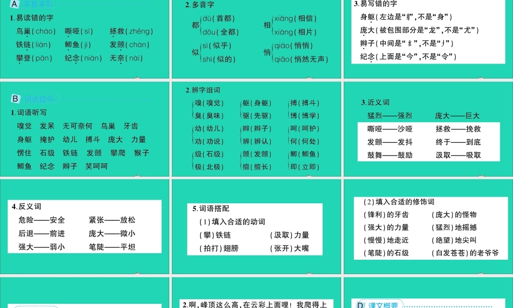 四年级语文上册 第五单元知识盘点作业课件 新人教版-新人教版小学四年级上册语文课件