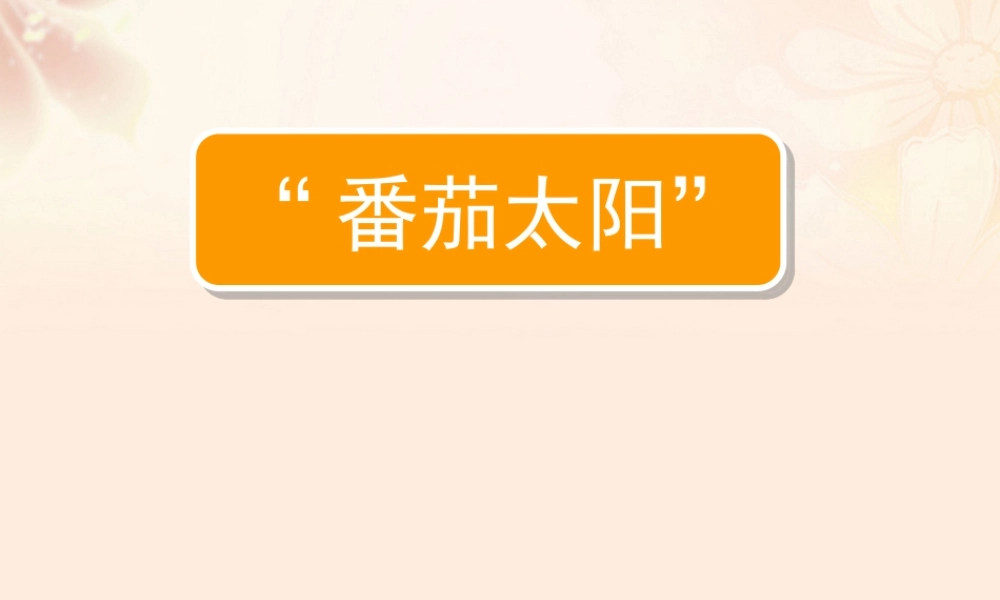 四年级语文下册 12 番茄太阳（第1课时）课件 苏教版-苏教级下册语文课件