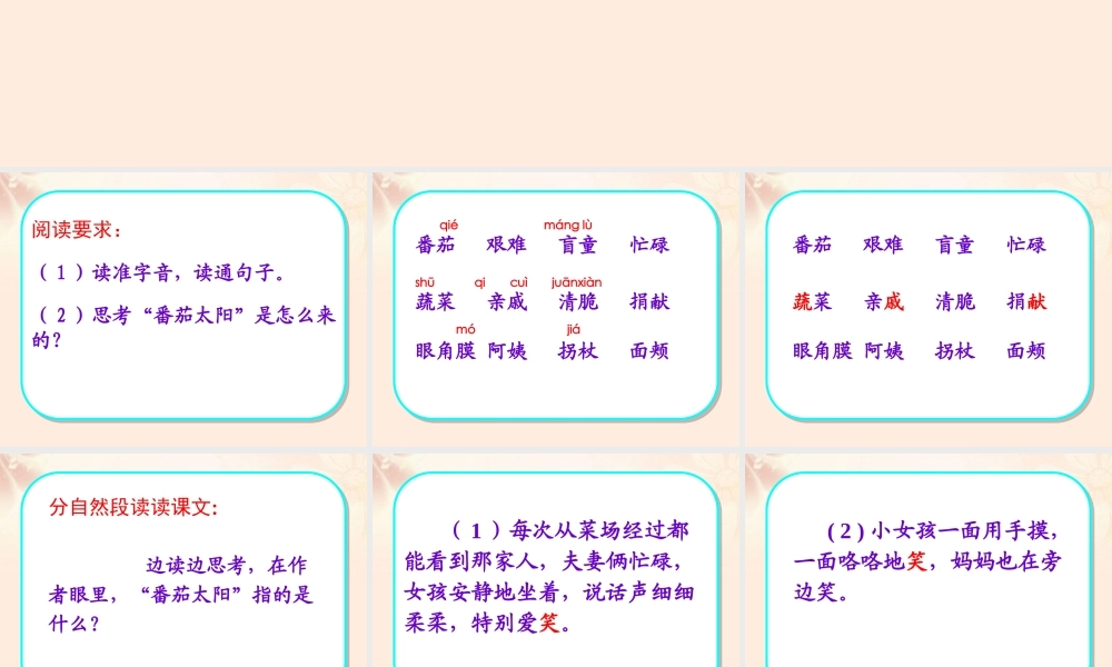 四年级语文下册 12 番茄太阳（第1课时）课件 苏教版-苏教级下册语文课件