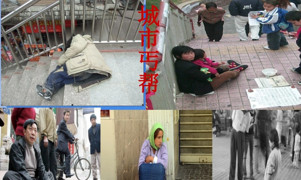 四年级语文下册 第8单元 36《尊严》课件2 沪教版-沪教版小学四年级下册语文课件