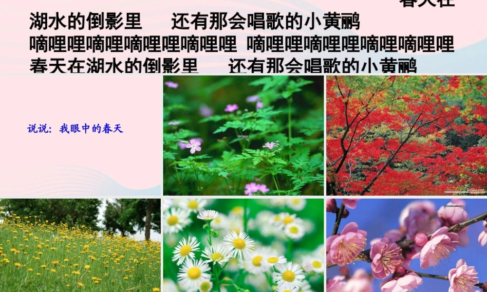 四年级语文下册 第五单元 17 触摸春天课件 新人教版-新人教版小学四年级下册语文课件