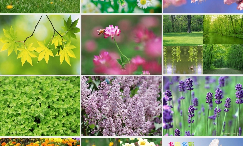 四年级语文下册 第五单元 17 触摸春天课件 新人教版-新人教版小学四年级下册语文课件