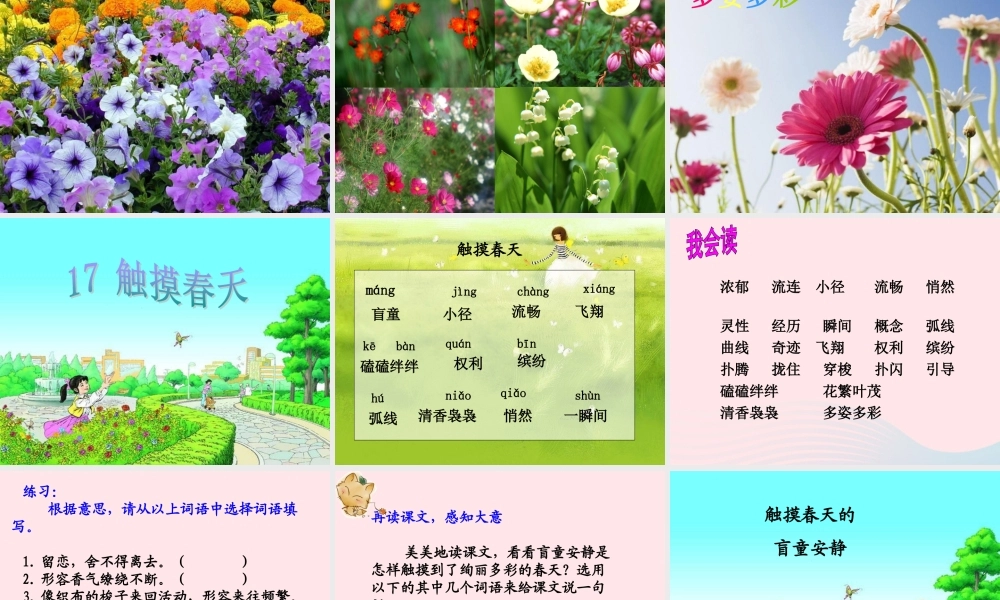 四年级语文下册 第五单元 17 触摸春天课件 新人教版-新人教版小学四年级下册语文课件