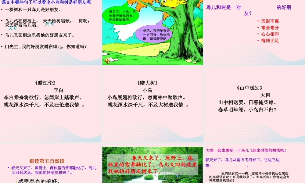 四年级语文上册 第三组 11《去年的树》课堂教学课件1 新人教版-新人教版小学四年级上册语文课件