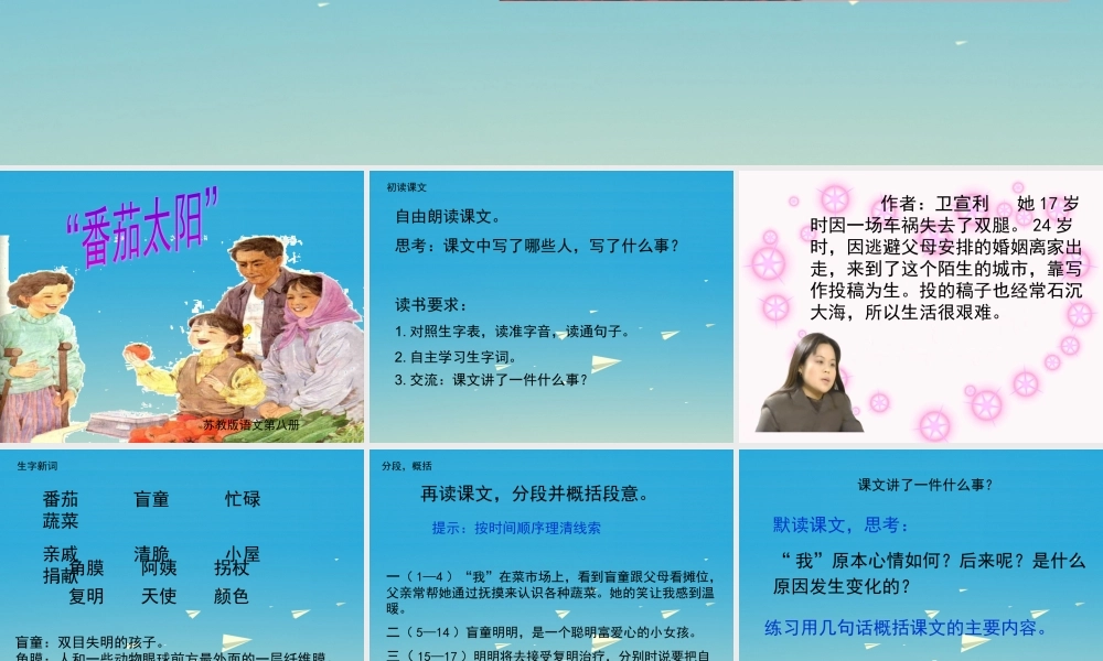 四年级语文下册 12《番茄太阳》课件 苏教版-苏教版小学四年级下册语文课件