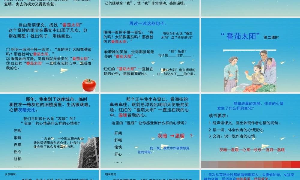 四年级语文下册 12《番茄太阳》课件 苏教版-苏教版小学四年级下册语文课件