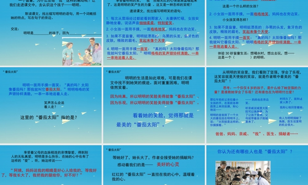 四年级语文下册 12《番茄太阳》课件 苏教版-苏教版小学四年级下册语文课件