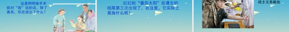 四年级语文下册 12《番茄太阳》课件 苏教版-苏教版小学四年级下册语文课件