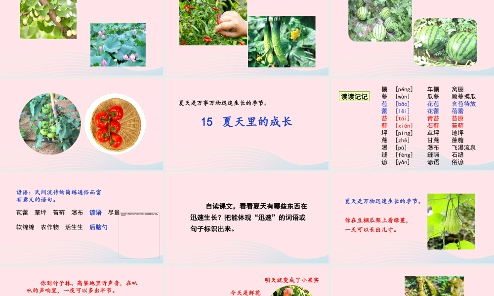 文上册 第五单元 15夏天里的成长课件