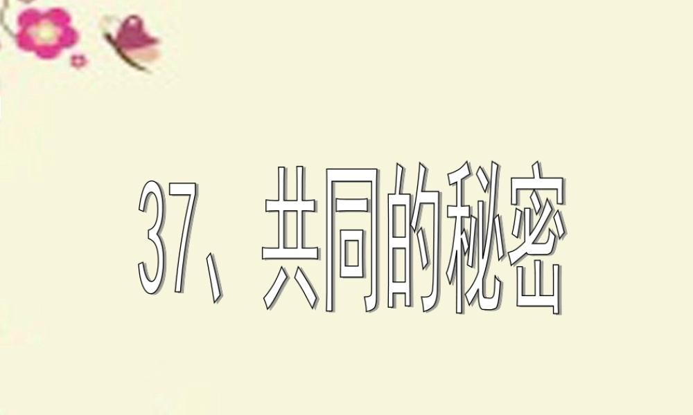 四年级语文下册 第8单元 37《共同的秘密》课件1 沪教版-沪教版小学四年级下册语文课件