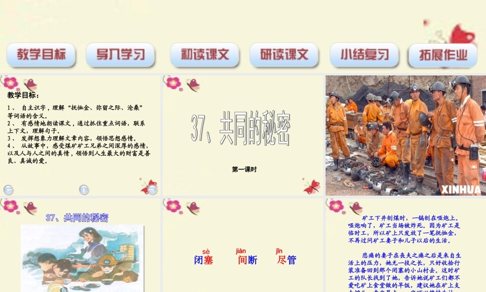 四年级语文下册 第8单元 37《共同的秘密》课件1 沪教版-沪教版小学四年级下册语文课件