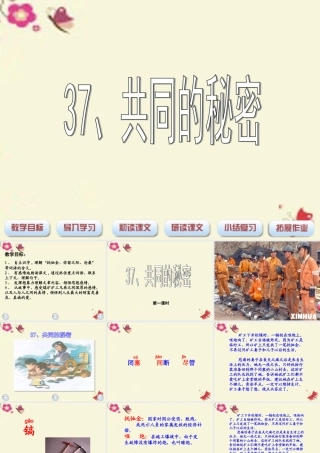 四年级语文下册 第8单元 37《共同的秘密》课件1 沪教版-沪教版小学四年级下册语文课件