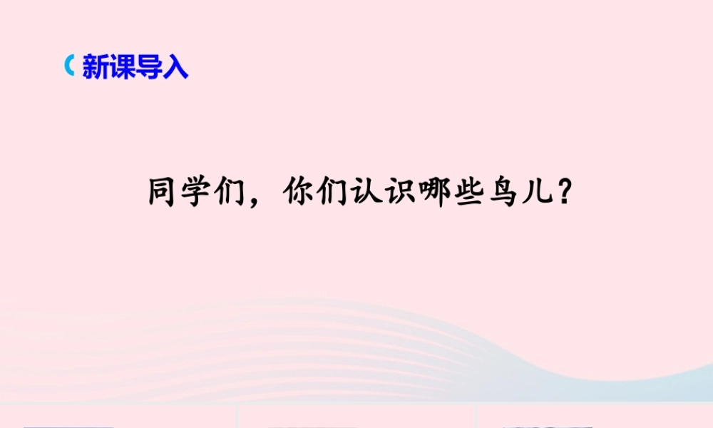 文上册 第五单元 16 麻雀课件