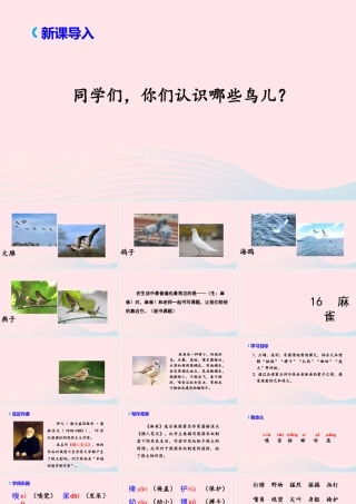 文上册 第五单元 16 麻雀课件