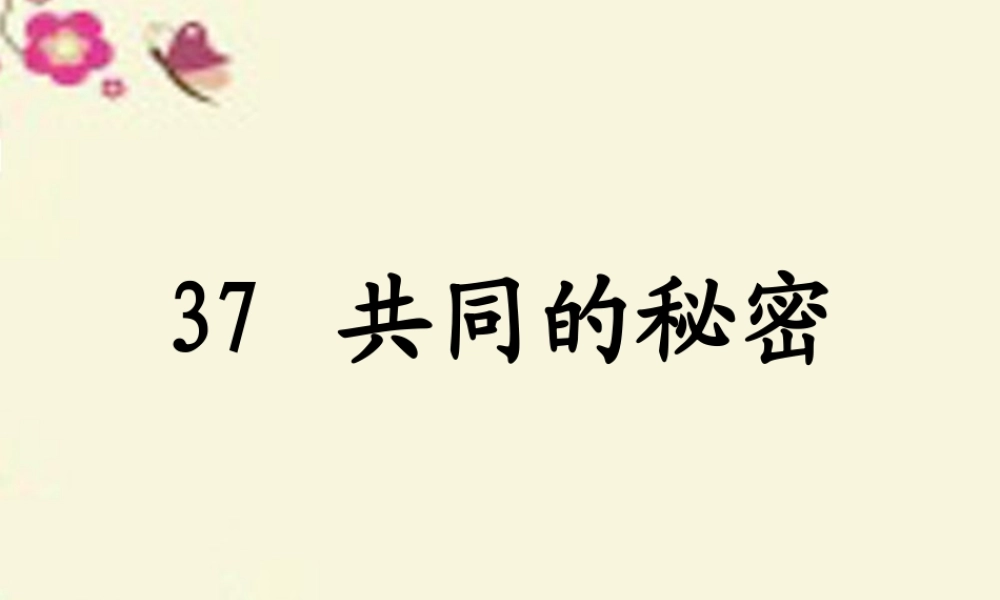 四年级语文下册 第8单元 37《共同的秘密》课件2 沪教版-沪教版小学四年级下册语文课件