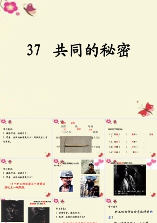 四年级语文下册 第8单元 37《共同的秘密》课件2 沪教版-沪教版小学四年级下册语文课件