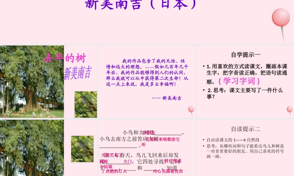 四年级语文上册 第三组 11《去年的树》课堂教学课件2 新人教版-新人教版小学四年级上册语文课件