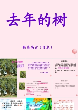 四年级语文上册 第三组 11《去年的树》课堂教学课件2 新人教版-新人教版小学四年级上册语文课件