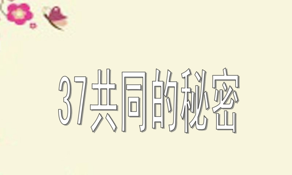 四年级语文下册 第8单元 37《共同的秘密》课件4 沪教版-沪教版小学四年级下册语文课件