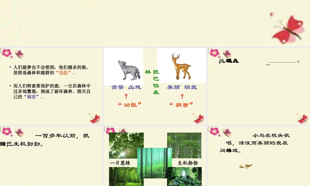 四年级语文下册 第8单元 39《狼和鹿》课件1 沪教版-沪教版小学四年级下册语文课件